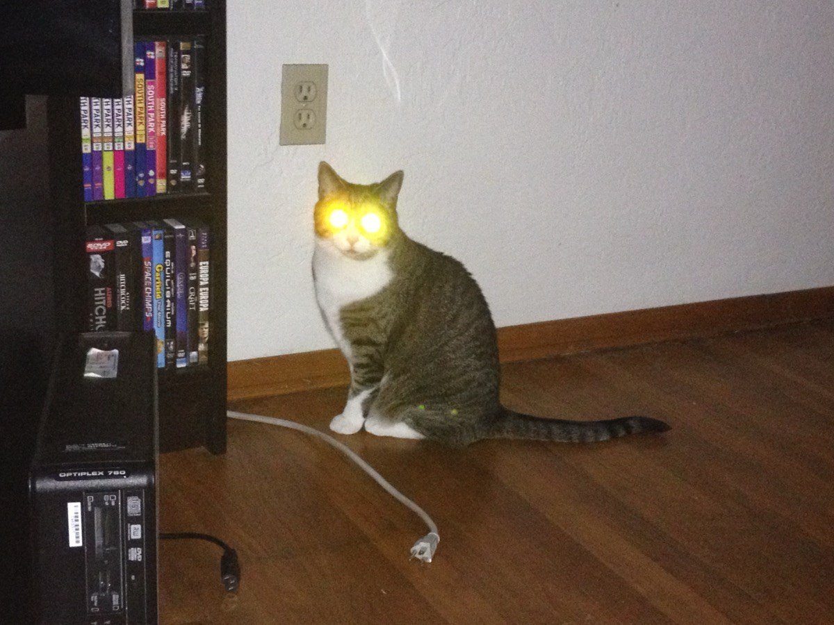 Quimby charging up